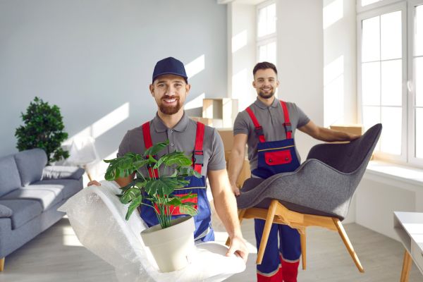 Tree Moving Service about