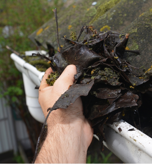 Gutter Cleaning Company about