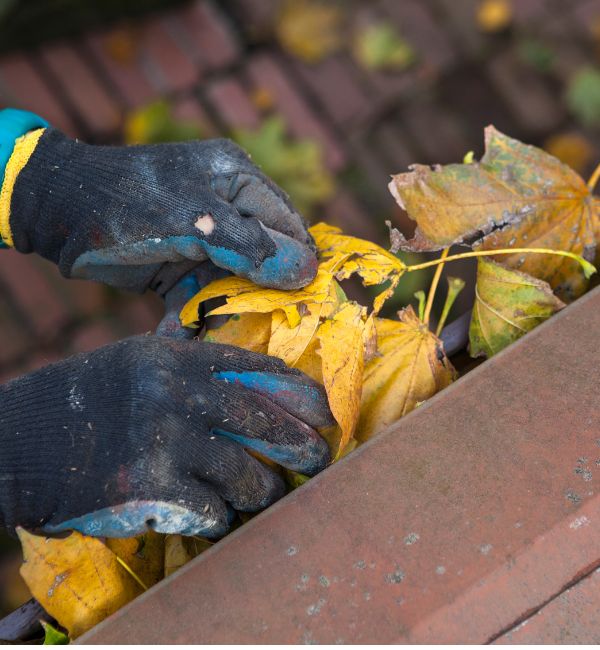 Gutter Cleaning service about