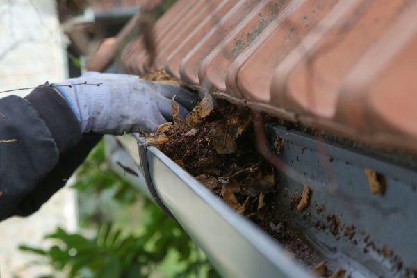 Gutter Cleaning about