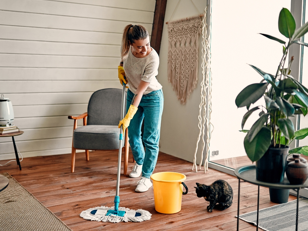 House Cleaning Company about