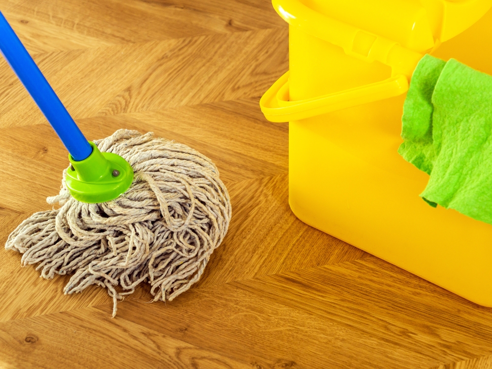 House Cleaning Services about