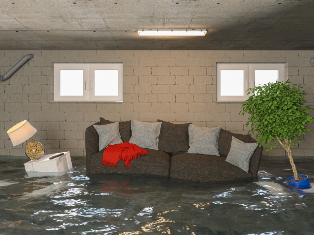 basement waterproofing services