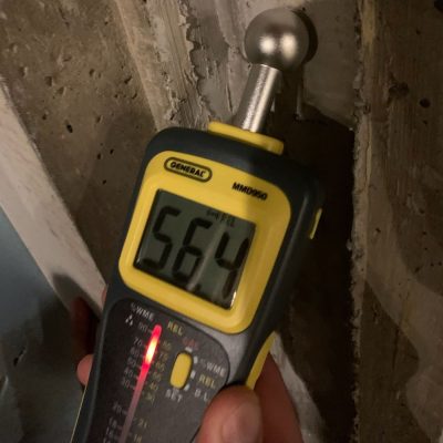Home Mold Testing