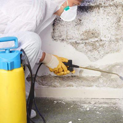 Mold Cleanup Company
