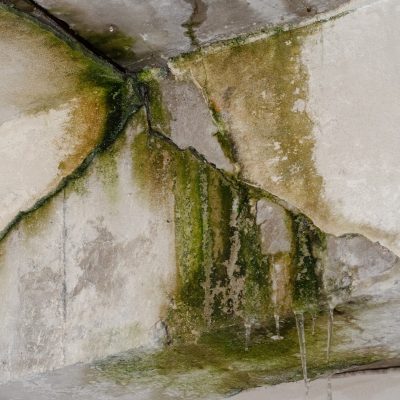 Water Damage Mitigation